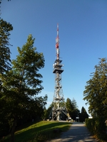 Bachteltum