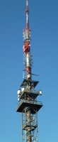 Bachteltum
