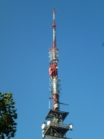 Bachteltum
